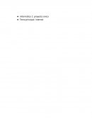 Informatica: proyecto único Tema principal: Internet