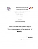 Fundamentos Económicos Principios Macroeconómicos y la Macroeconomía como Herramienta de Análisis