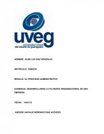 DESARROLLANDO LA FILOSOFÍA ORGANIZACIONAL DE UNA EMPRESA. Página 1