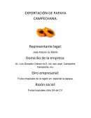 EXPORTACIÓN DE PAPAYA CAMPECHANA