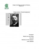 Ensayo sobre la “Teoría Comprensiva”