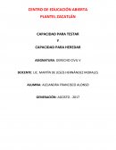 CAPACIDAD PARA TESTAR Y CAPACIDAD PARA HEREDAR