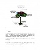 Guia Proyecto de Vida