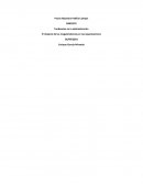 Tendencias en la administración. El impacto de las megatendencias en las organizaciones