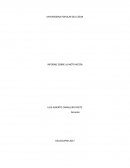 LA MOTIVACIÓN Naturaleza de la Motivación