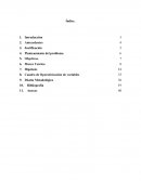 Protocolo Investigativo TASNICA S.A