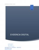 Evidencia digital. Informatica Forense