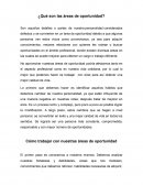 ¿Qué son las áreas de oportunidad?