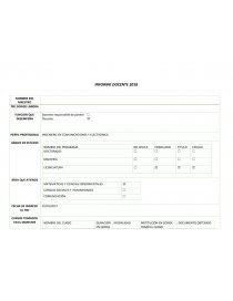 INFORME DOCENTE 2018. Página 1