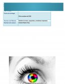 Gestión de micro, pequeñas y medianas empresas