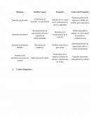 Protocolo. Rotación de personal . Distribuidora “Market S.A.”