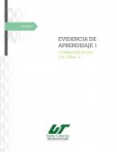 Análisis de la situación desde diferentes perspectivas. Formación Sociocultural