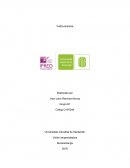 Visita empresa vision emprendedora