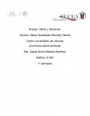 ENSAYO- OFERTA Y DEMANDA