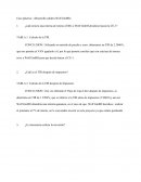 Caso práctico: «Desarrollo caldera Wolf GmBH»