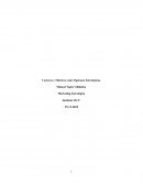 Carteras y Matrices como Opciones Estratégicas