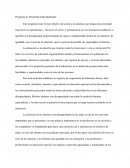 Programa de Desarrollo Individualizado