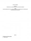 ¿De que manera influyen las tribus urbanas en la busqueda de la identidad de los adolescentes en Mexico?