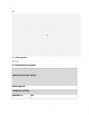 IDENTIFICACIÓN DEL PUESTO Gerente general