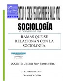 CIENCIAS DE LA SOCIOLOGÍA