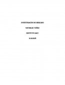 Investigacion mercado tarea 8