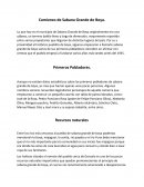 Comienzo de sabana grande de boya
