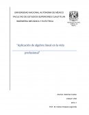 Aplicación de algebra lineal en la vida