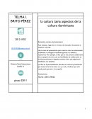 La cultura taina aspectos de la cultura dominicana