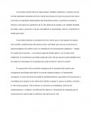 Proyecto de vida. La Juventud