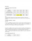 SOLUCION. CALCULO COSTES TOTALES POR PRODUCTO