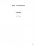 COMPETENCIAS DOCENTES (EJEMPLO DE AUTO ANÁLISIS)