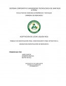 Nivel de Aceptación Leche Milex