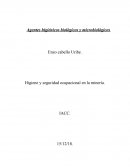 Higiene y seguridad ocupacional en la minería