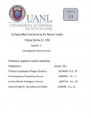 Cancer de piel. Cáncer melanoma