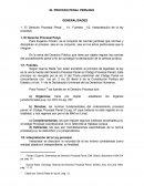 EL PROCESO PENAL PERUANO