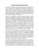 Necesidad de un enfoque flexible y diversificado en el currículo para atender a las necesidades educativas individuales de los alumnos