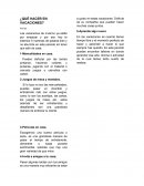 ¿Qué hacer en vacaciones?