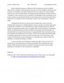 La delincuencia juvenil