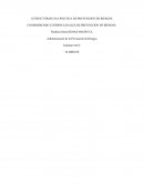 ESTRUCTURAR UNA POLITICA DE PREVENCION DE RIESGOS