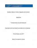 Importancia de las áreas funcionales de la empresa