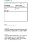 Actividad 1 Ideas para empresas