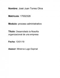 Desarrollado la filosofía organizacional de una empresa. Página 1