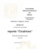 Resumen pelicula cicatrices