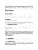 Propuesta de negocio Comida totalmente vegetariana