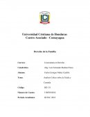 Análisis Crítico sobre la Tutela y Curatela