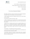 Reflexión de su Organización Institucional