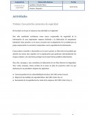 Caso práctico proyectos de seguridad