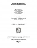 Conduccion de tuberia Tenerife