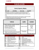 Plan de acción. Control, Soporte y Medios