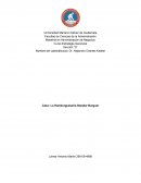 Análisis Caso La hamburgueseria